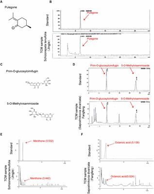 Schizonepeta tenuifolia Briq-Saposhnikovia divaricata decoction alleviates atopic dermatitis via downregulating macrophage TRPV1